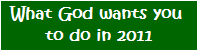 What God wants you 
to do in 2011